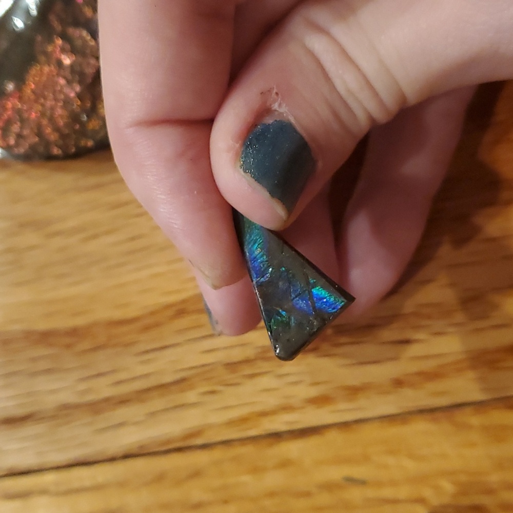 Ammolite fossil lot - Picture 5 of 12